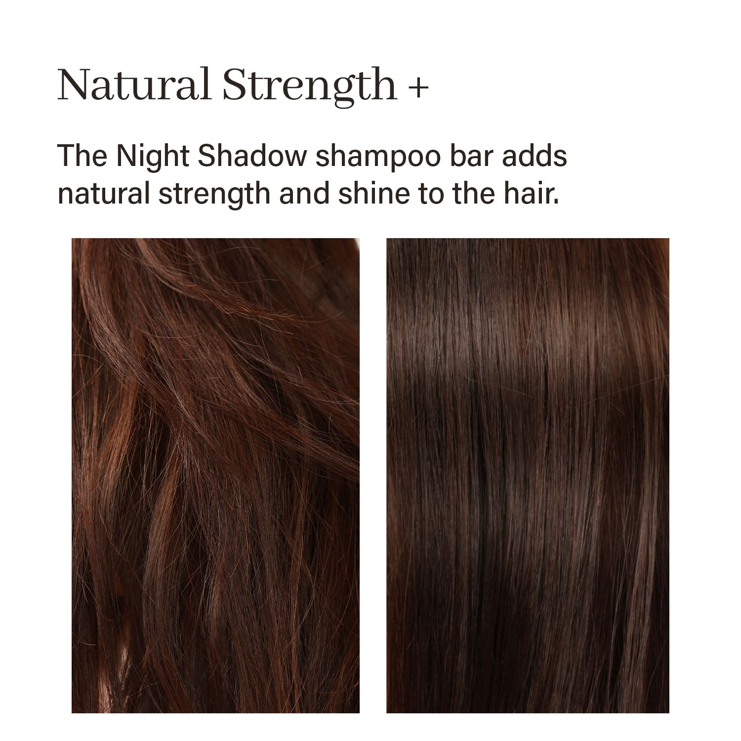 Arencia Night Shadow Shampoo Bar